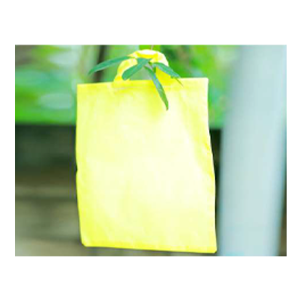 Yellow Bag (Free size)